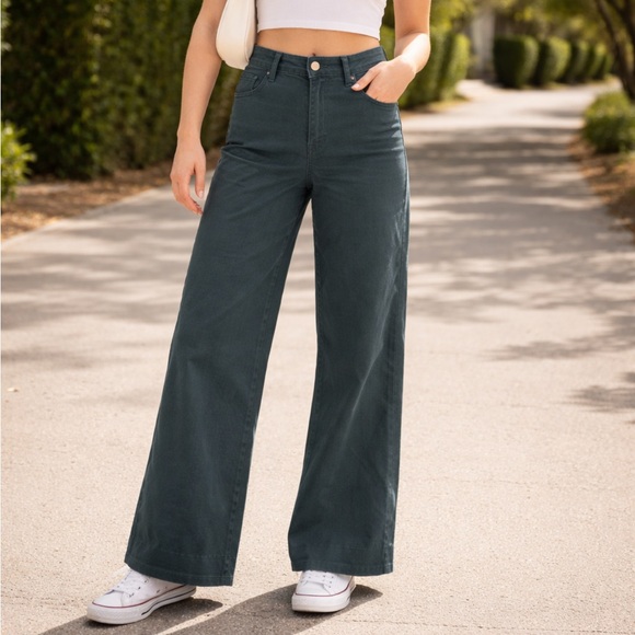 Marine Layer Pants - Marine Layer Wide Leg Stylish Dark Teal Blue Green Pants Size 10